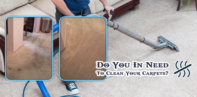 Professional Carpet Cleaners